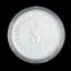 Stříbrná mince 200 Kč 2010 Sňatek Jana Lucemburského s Eliškou Přemyslovnou a nástup na trůn - Provedení: PROOF